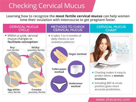 cervical mucus 10dpo|how to check for cervical mucus.